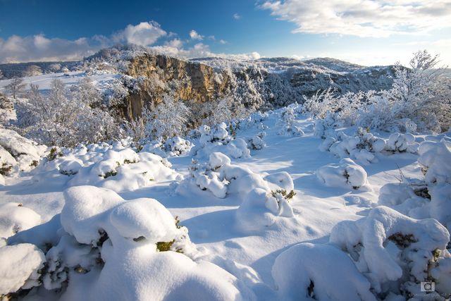 Neige fraîche sur le Vercors